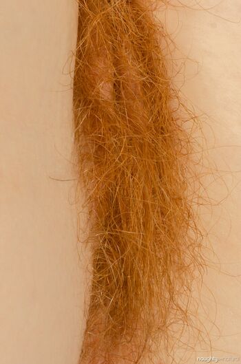 Hairy Women