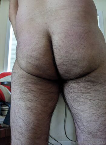 hairynbeefy303