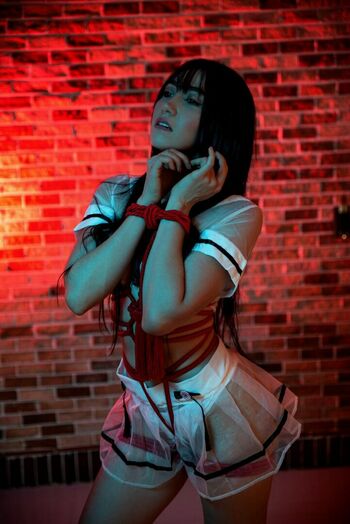 Hakicosmodel
