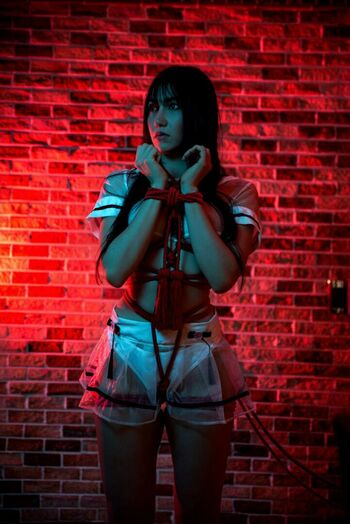 Hakicosmodel