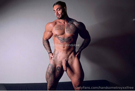 handsometroyxxlfree