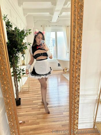 Harriet Sugarcookie