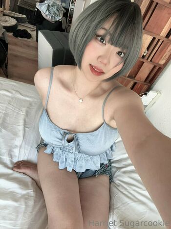 Harriet Sugarcookie