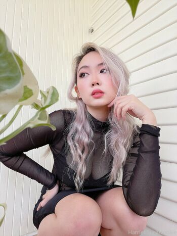 harrietsugarcookie