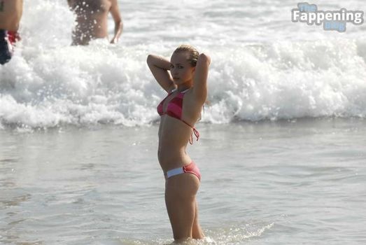 Hayden Panettiere