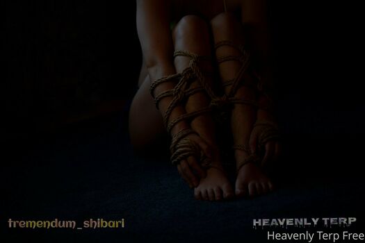 heavenlyterpvip
