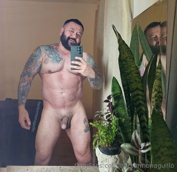 hectormonaguillo