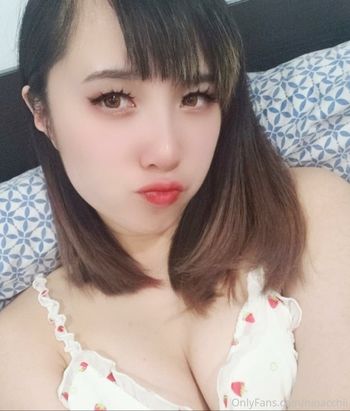 hinacchi_free