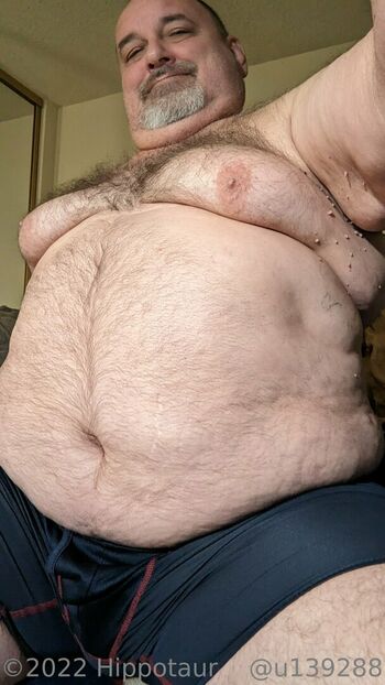 hippotaur