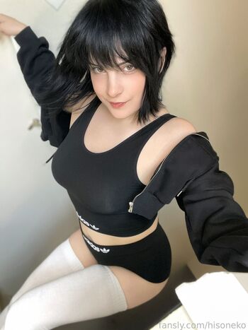 Hisoneko