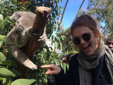 Holland Roden
