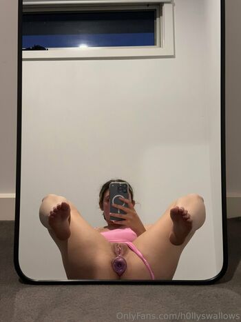 Holly Swallows
