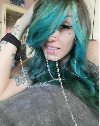hollyborealis