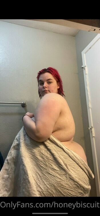 honeybiscuit20