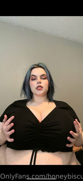 honeybiscuit20