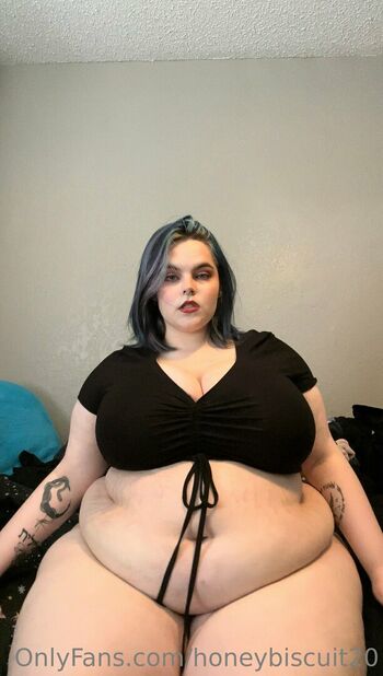honeybiscuit20