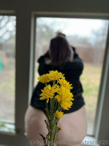 honeybiscuit20