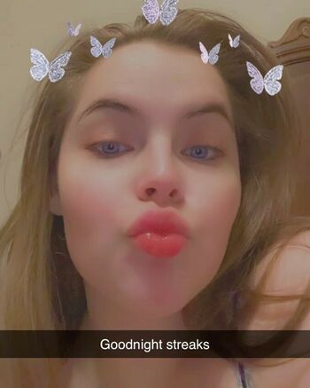 honeybiscuit20