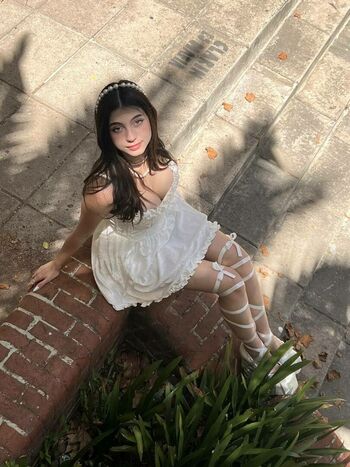 iaaras2