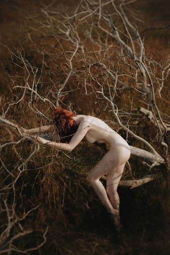 Icelandic Selkie