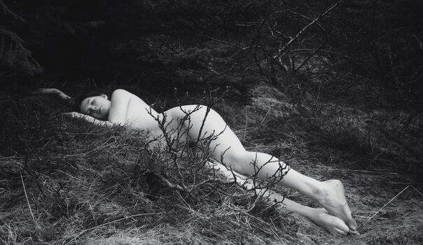 Icelandic Selkie