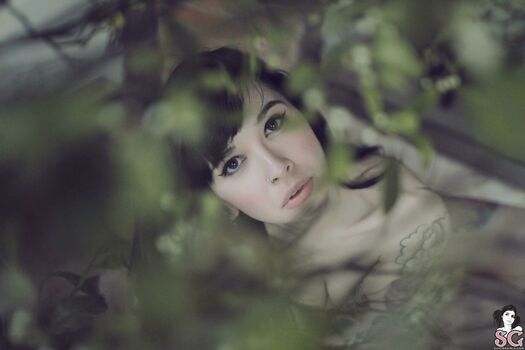 Ilanna Denofte