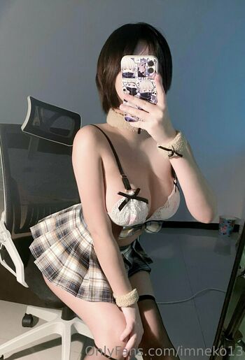 Imneko13