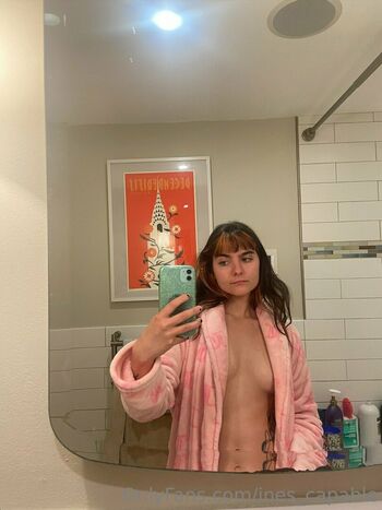 ines_capable