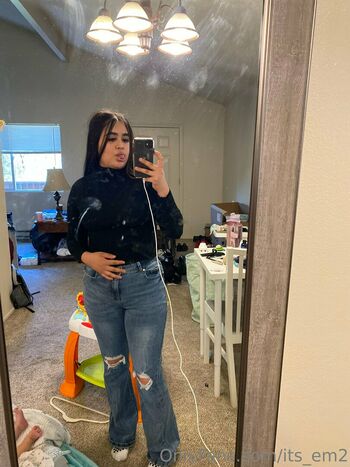 its_em2