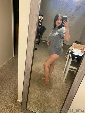 its_em2