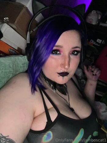 jamboscat1