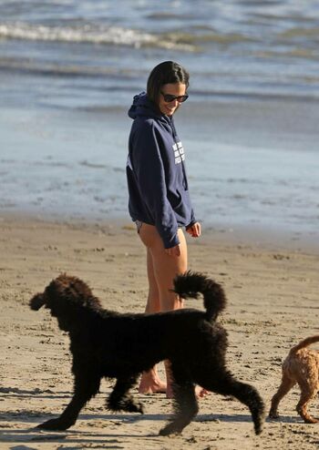 Jordana Brewster
