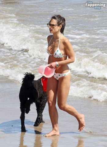Jordana Brewster