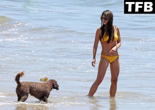 Jordana Brewster