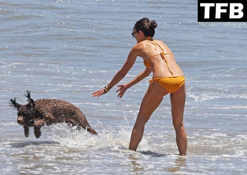 Jordana Brewster