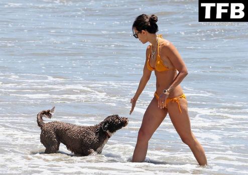 Jordana Brewster