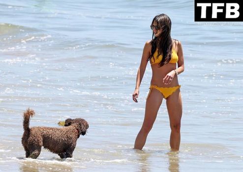 Jordana Brewster