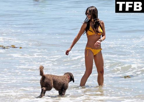 Jordana Brewster