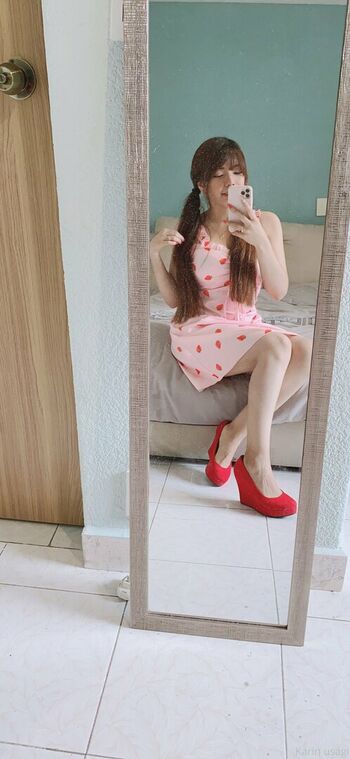 Karin Usagi