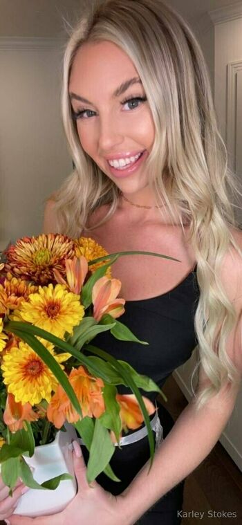 karleystokes