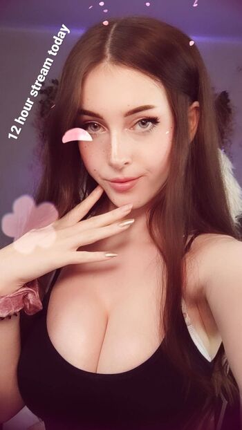 KDRkitten