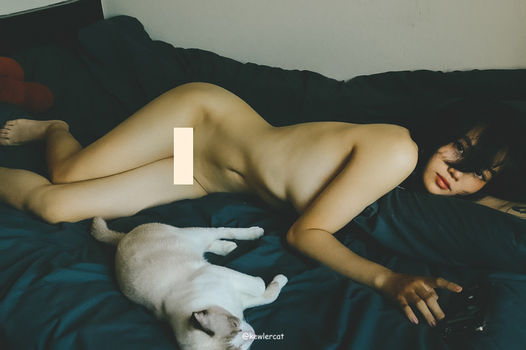 kewlercat