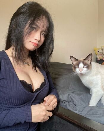 kewlercat