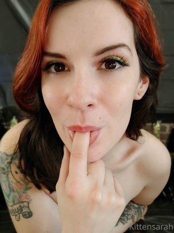 Kitten Sarah