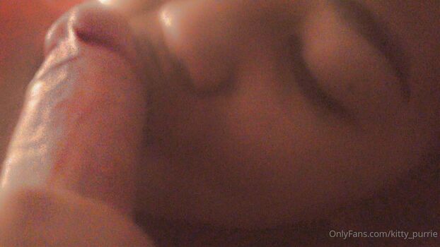 Kitty_Purrie