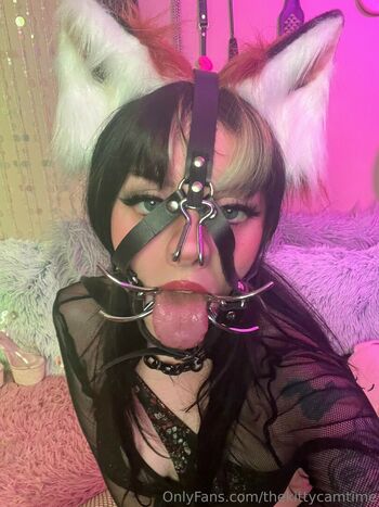 Kittycamtime