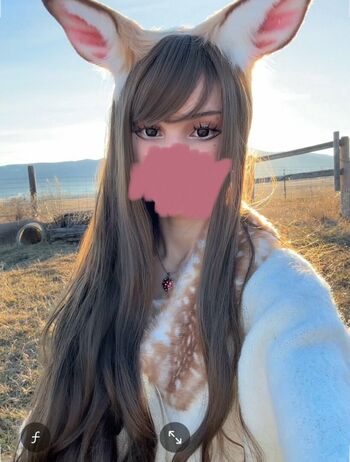 Kittypet