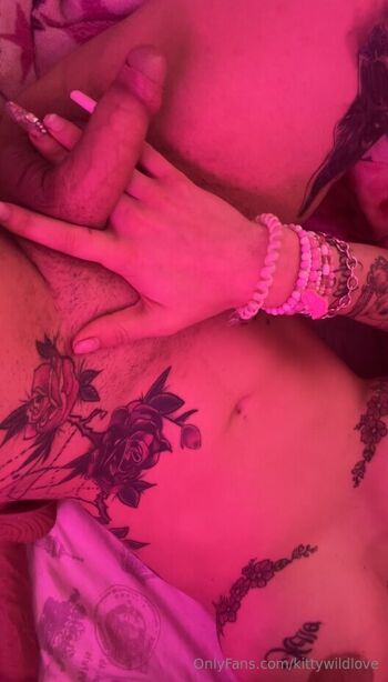 kittywildlove