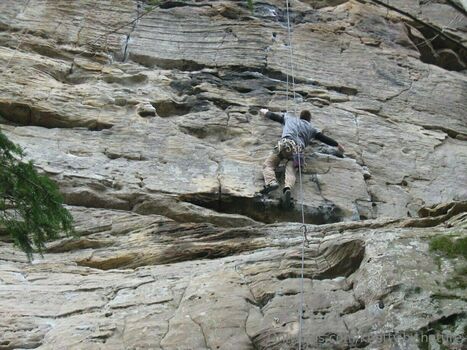 knotty.by.nature