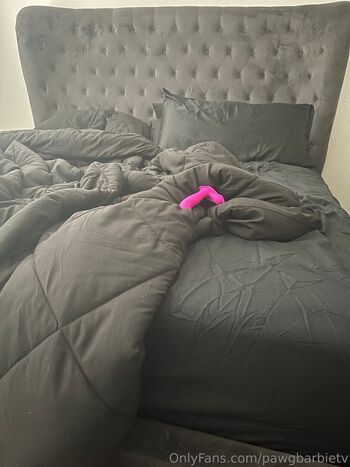 krissylynnlytv